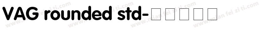 VAG rounded std字体转换